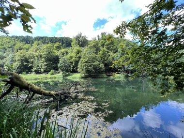 Park ormanlarındaki yapay göller Jankovac - Papuk doğa parkı, Hırvatistan (Umjetna jezera u Park sumi Jankovac - Park, Papuk, Hrvatska)