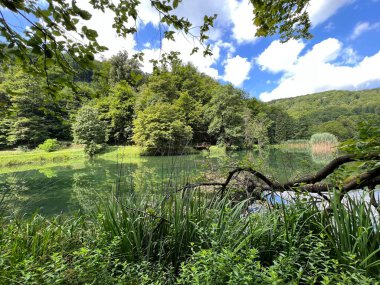 Park ormanlarındaki yapay göller Jankovac - Papuk doğa parkı, Hırvatistan (Umjetna jezera u Park sumi Jankovac - Park, Papuk, Hrvatska)