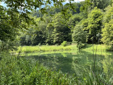 Park ormanlarındaki yapay göller Jankovac - Papuk doğa parkı, Hırvatistan (Umjetna jezera u Park sumi Jankovac - Park, Papuk, Hrvatska)