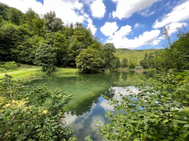 Park ormanlarındaki yapay göller Jankovac - Papuk doğa parkı, Hırvatistan (Umjetna jezera u Park sumi Jankovac - Park, Papuk, Hrvatska)