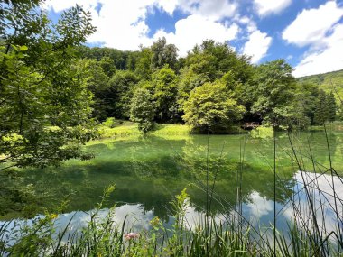 Park ormanlarındaki yapay göller Jankovac - Papuk doğa parkı, Hırvatistan (Umjetna jezera u Park sumi Jankovac - Park, Papuk, Hrvatska)