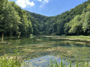 Park ormanlarındaki yapay göller Jankovac - Papuk doğa parkı, Hırvatistan (Umjetna jezera u Park sumi Jankovac - Park, Papuk, Hrvatska)