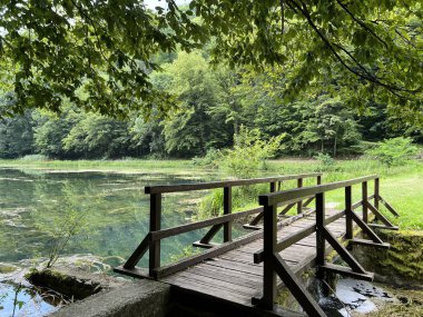 Park ormanlarındaki yapay göller Jankovac - Papuk doğa parkı, Hırvatistan (Umjetna jezera u Park sumi Jankovac - Park, Papuk, Hrvatska)