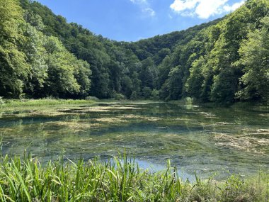 Park ormanlarındaki yapay göller Jankovac - Papuk doğa parkı, Hırvatistan (Umjetna jezera u Park sumi Jankovac - Park, Papuk, Hrvatska)