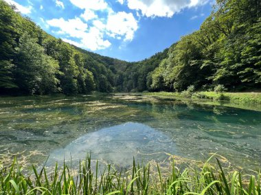 Park ormanlarındaki yapay göller Jankovac - Papuk doğa parkı, Hırvatistan (Umjetna jezera u Park sumi Jankovac - Park, Papuk, Hrvatska)