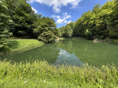Park ormanlarındaki yapay göller Jankovac - Papuk doğa parkı, Hırvatistan (Umjetna jezera u Park sumi Jankovac - Park, Papuk, Hrvatska)