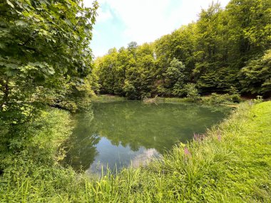 Park ormanlarındaki yapay göller Jankovac - Papuk doğa parkı, Hırvatistan (Umjetna jezera u Park sumi Jankovac - Park, Papuk, Hrvatska)
