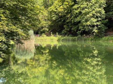 Park ormanlarındaki yapay göller Jankovac - Papuk doğa parkı, Hırvatistan (Umjetna jezera u Park sumi Jankovac - Park, Papuk, Hrvatska)