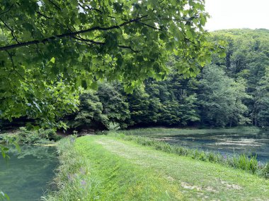 Park ormanlarındaki yapay göller Jankovac - Papuk doğa parkı, Hırvatistan (Umjetna jezera u Park sumi Jankovac - Park, Papuk, Hrvatska)