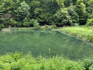 Park ormanlarındaki yapay göller Jankovac - Papuk doğa parkı, Hırvatistan (Umjetna jezera u Park sumi Jankovac - Park, Papuk, Hrvatska)