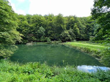 Park ormanlarındaki yapay göller Jankovac - Papuk doğa parkı, Hırvatistan (Umjetna jezera u Park sumi Jankovac - Park, Papuk, Hrvatska)