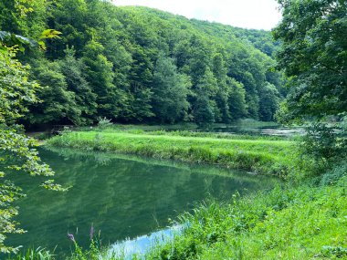 Park ormanlarındaki yapay göller Jankovac - Papuk doğa parkı, Hırvatistan (Umjetna jezera u Park sumi Jankovac - Park, Papuk, Hrvatska)