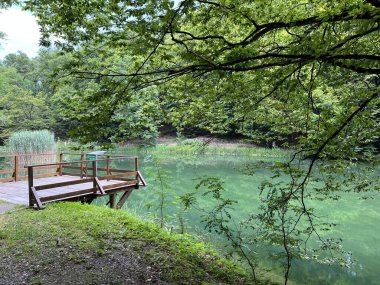 Park ormanlarındaki yapay göller Jankovac - Papuk doğa parkı, Hırvatistan (Umjetna jezera u Park sumi Jankovac - Park, Papuk, Hrvatska)