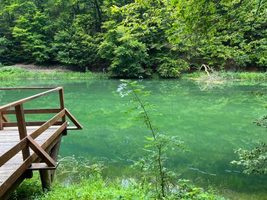 Park ormanlarındaki yapay göller Jankovac - Papuk doğa parkı, Hırvatistan (Umjetna jezera u Park sumi Jankovac - Park, Papuk, Hrvatska)