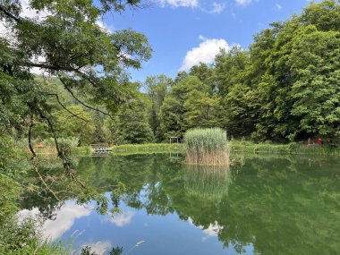 Park ormanlarındaki yapay göller Jankovac - Papuk doğa parkı, Hırvatistan (Umjetna jezera u Park sumi Jankovac - Park, Papuk, Hrvatska)