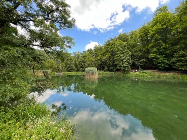 Park ormanlarındaki yapay göller Jankovac - Papuk doğa parkı, Hırvatistan (Umjetna jezera u Park sumi Jankovac - Park, Papuk, Hrvatska)