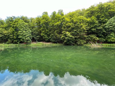 Park ormanlarındaki yapay göller Jankovac - Papuk doğa parkı, Hırvatistan (Umjetna jezera u Park sumi Jankovac - Park, Papuk, Hrvatska)