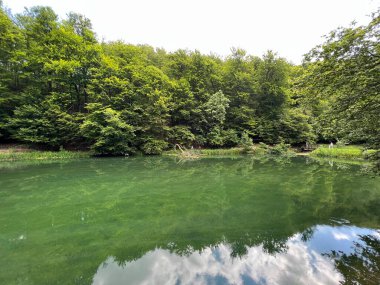 Park ormanlarındaki yapay göller Jankovac - Papuk doğa parkı, Hırvatistan (Umjetna jezera u Park sumi Jankovac - Park, Papuk, Hrvatska)