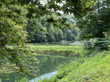 Park ormanlarındaki yapay göller Jankovac - Papuk doğa parkı, Hırvatistan (Umjetna jezera u Park sumi Jankovac - Park, Papuk, Hrvatska)