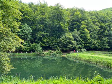 Park ormanlarındaki yapay göller Jankovac - Papuk doğa parkı, Hırvatistan (Umjetna jezera u Park sumi Jankovac - Park, Papuk, Hrvatska)