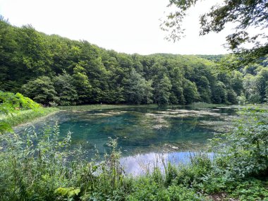 Park ormanlarındaki yapay göller Jankovac - Papuk doğa parkı, Hırvatistan (Umjetna jezera u Park sumi Jankovac - Park, Papuk, Hrvatska)