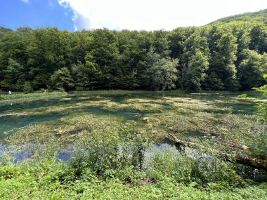 Park ormanlarındaki yapay göller Jankovac - Papuk doğa parkı, Hırvatistan (Umjetna jezera u Park sumi Jankovac - Park, Papuk, Hrvatska)