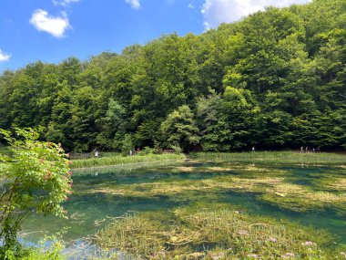 Park ormanlarındaki yapay göller Jankovac - Papuk doğa parkı, Hırvatistan (Umjetna jezera u Park sumi Jankovac - Park, Papuk, Hrvatska)