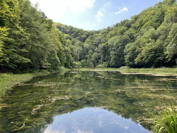 Park ormanlarındaki yapay göller Jankovac - Papuk doğa parkı, Hırvatistan (Umjetna jezera u Park sumi Jankovac - Park, Papuk, Hrvatska)