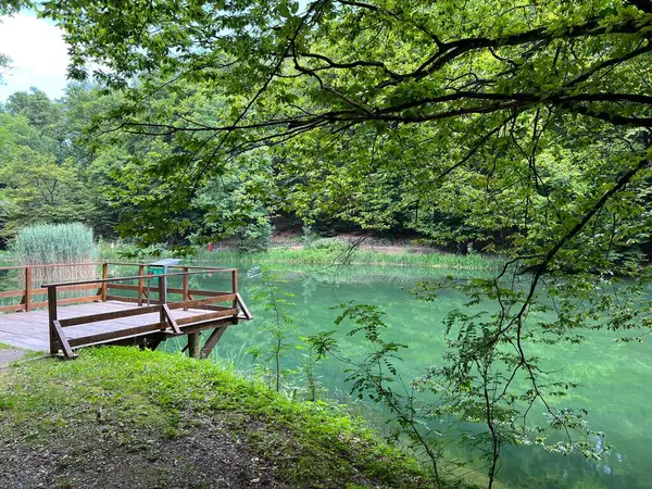Park ormanlarındaki yapay göller Jankovac - Papuk doğa parkı, Hırvatistan (Umjetna jezera u Park sumi Jankovac - Park, Papuk, Hrvatska)