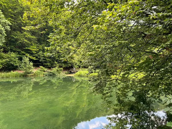 Park ormanlarındaki yapay göller Jankovac - Papuk doğa parkı, Hırvatistan (Umjetna jezera u Park sumi Jankovac - Park, Papuk, Hrvatska)