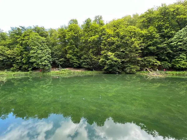 Park ormanlarındaki yapay göller Jankovac - Papuk doğa parkı, Hırvatistan (Umjetna jezera u Park sumi Jankovac - Park, Papuk, Hrvatska)