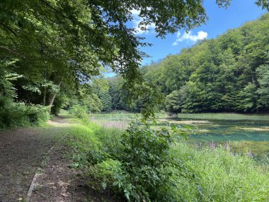 Jankovac orman parkında yürüyüş ve yürüyüş yolları veya Kont 'un Jankovac - Papuk doğa parkı, Hırvatistan (Grofova poucna staza na Jankovcu - Park Papuk, Hrvatska)