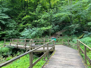 Jankovac orman parkında yürüyüş ve yürüyüş yolları veya Kont 'un Jankovac - Papuk doğa parkı, Hırvatistan (Grofova poucna staza na Jankovcu - Park Papuk, Hrvatska)