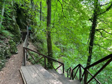 Jankovac orman parkında yürüyüş ve yürüyüş yolları veya Kont 'un Jankovac - Papuk doğa parkı, Hırvatistan (Grofova poucna staza na Jankovcu - Park Papuk, Hrvatska)