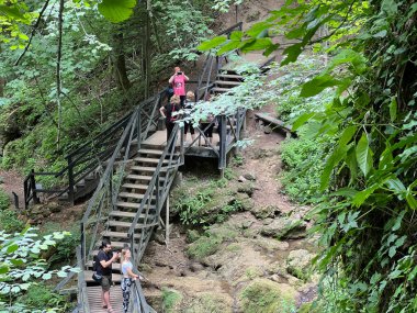 Jankovac orman parkında yürüyüş ve yürüyüş yolları veya Kont 'un Jankovac - Papuk doğa parkı, Hırvatistan (Grofova poucna staza na Jankovcu - Park Papuk, Hrvatska)