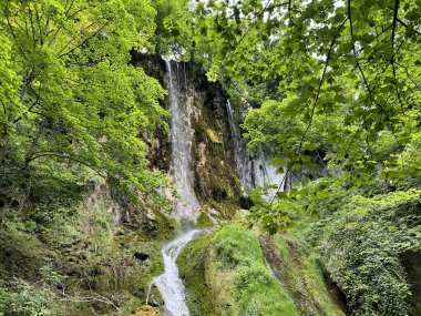 Jankovac Orman Parkı 'nda Şelale Skakavac - Papuk Doğa Parkı, Hırvatistan (Slap Skakavac u Park sumi Jankovac - Park Papuk, Hrvatska)