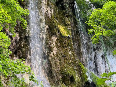 Jankovac Orman Parkı 'nda Şelale Skakavac - Papuk Doğa Parkı, Hırvatistan (Slap Skakavac u Park sumi Jankovac - Park Papuk, Hrvatska)