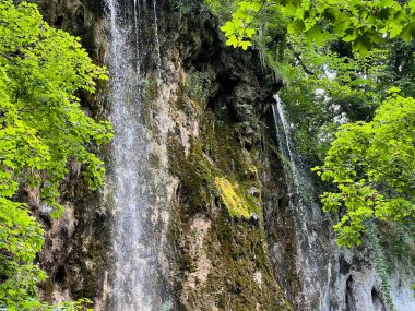 Jankovac Orman Parkı 'nda Şelale Skakavac - Papuk Doğa Parkı, Hırvatistan (Slap Skakavac u Park sumi Jankovac - Park Papuk, Hrvatska)