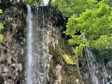 Jankovac Orman Parkı 'nda Şelale Skakavac - Papuk Doğa Parkı, Hırvatistan (Slap Skakavac u Park sumi Jankovac - Park Papuk, Hrvatska)