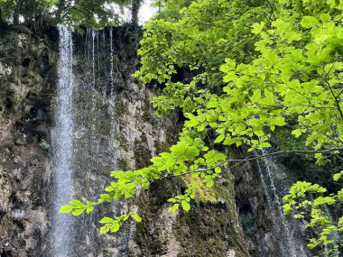 Jankovac Orman Parkı 'nda Şelale Skakavac - Papuk Doğa Parkı, Hırvatistan (Slap Skakavac u Park sumi Jankovac - Park Papuk, Hrvatska)