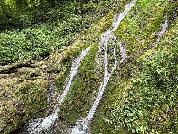 Водопад Скакавац Лесном Парке Янковац Природный Парк Папук Хорватия Slap — стоковое фото