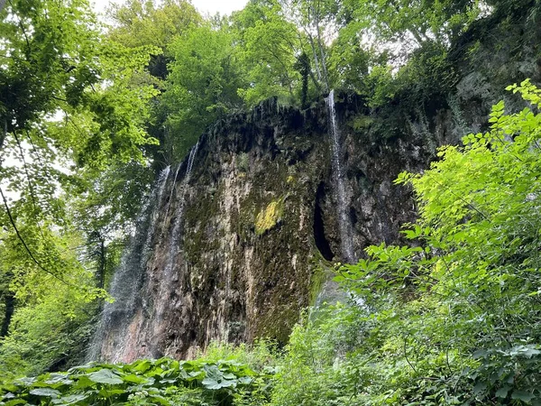 Wodospad Skakavac Parku Leśnym Jankovac Papuk Park Przyrody Chorwacja Slap — Zdjęcie stockowe