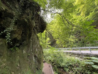 Jankovac Ormanı 'ndaki kireçtaşı kayaları - Papuk Doğa Parkı, Hırvatistan (Vapnenacke stijene u Park sumi Jankovac ili Zivi zid Jankovacke utvrde - Park Papuk, Hrvatska)