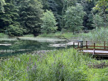 Park ormanlarındaki yapay göller Jankovac - Papuk doğa parkı, Hırvatistan (Umjetna jezera u Park sumi Jankovac - Park, Papuk, Hrvatska)