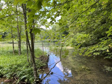 Park ormanlarındaki yapay göller Jankovac - Papuk doğa parkı, Hırvatistan (Umjetna jezera u Park sumi Jankovac - Park, Papuk, Hrvatska)