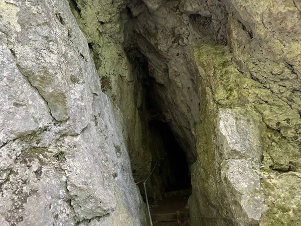 Jeskyně Maxim Nebo Jeskyně Haiduk Maxim Parku Les Jankovac Papuk — Stock fotografie