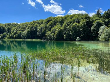 Plitvice Lakes Ulusal Parkı (UNESCO) - Plitvica, Hırvatistan veya Slikoviti krajobrazi i prekrasni motivi iz nacionalnog parka Plitvicka jezera - Plitvice, Hrvatska