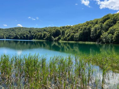 Plitvice Lakes Ulusal Parkı (UNESCO) - Plitvica, Hırvatistan veya Slikoviti krajobrazi i prekrasni motivi iz nacionalnog parka Plitvicka jezera - Plitvice, Hrvatska