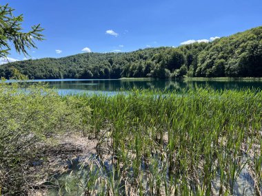 Plitvice Lakes Ulusal Parkı (UNESCO) - Plitvica, Hırvatistan veya Slikoviti krajobrazi i prekrasni motivi iz nacionalnog parka Plitvicka jezera - Plitvice, Hrvatska
