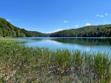 Plitvice Lakes Ulusal Parkı (UNESCO) - Plitvica, Hırvatistan veya Slikoviti krajobrazi i prekrasni motivi iz nacionalnog parka Plitvicka jezera - Plitvice, Hrvatska